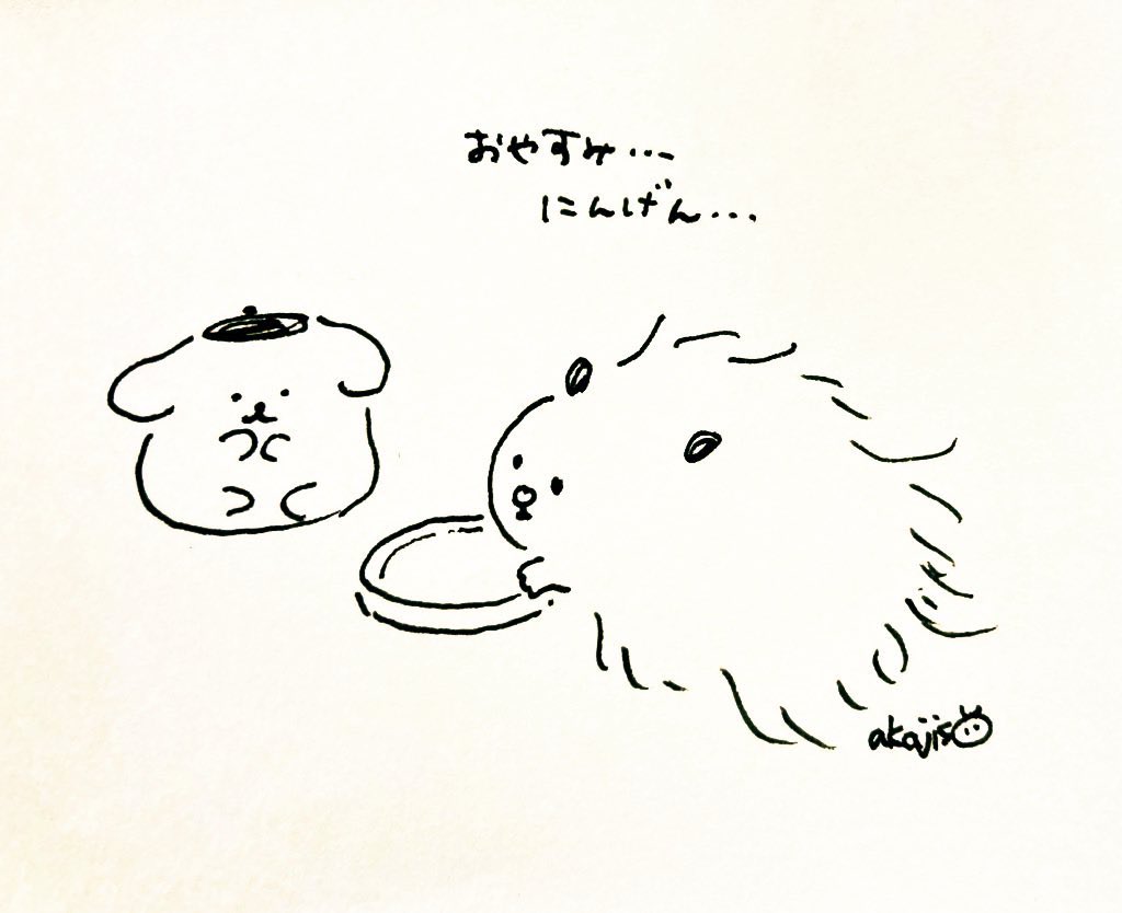 あかじそ🐹 tweet media