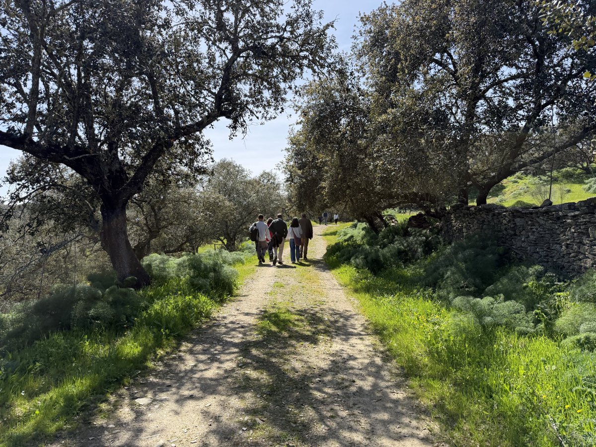 Cultura, Turismo, Jóvenes y Deportes tweet media