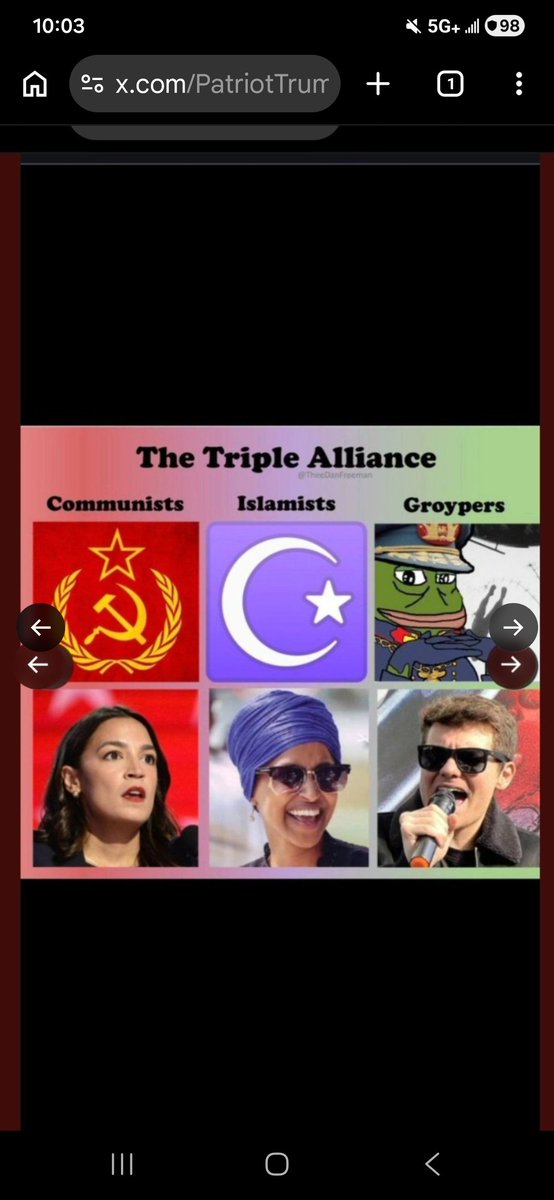 TRUMPSPATRIOT tweet media