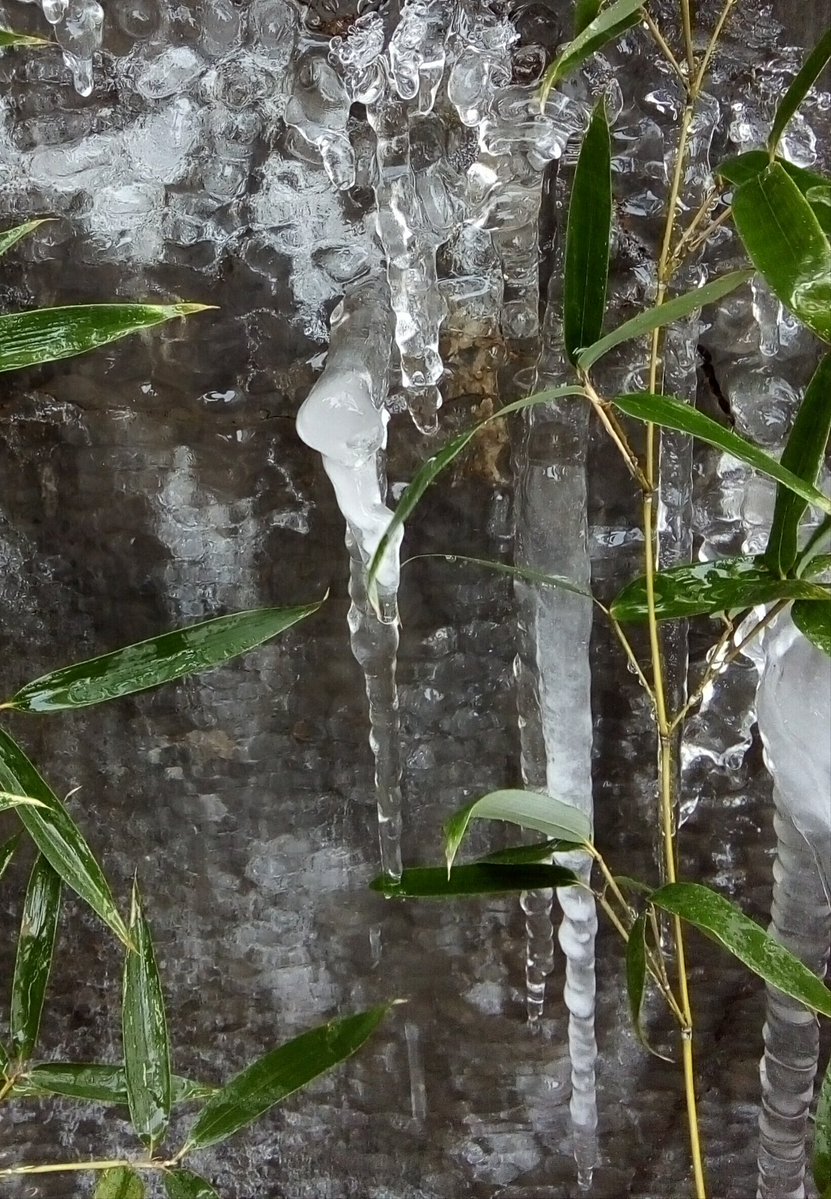 SHirley Mary Zurita tweet media