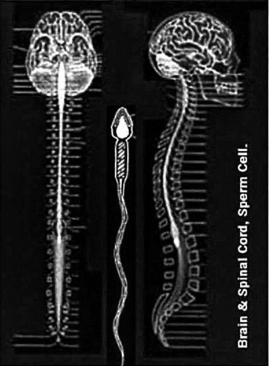 Learn Something New tweet media