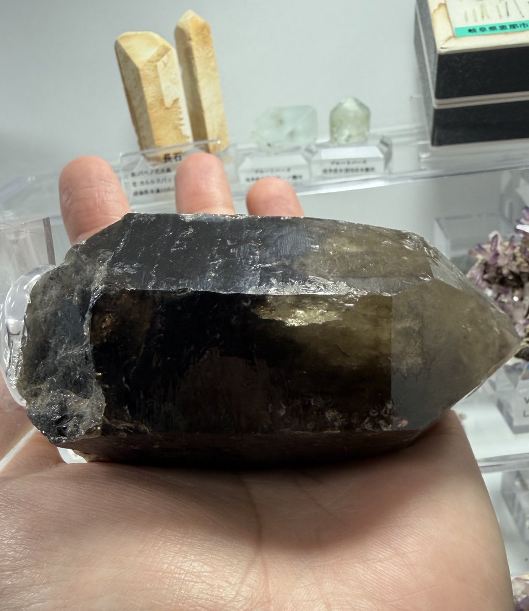 ETRANZE1's tweet photo. 岐阜県産デカ煙水晶
採取の帰り道に埋まってたヤツ

購入希望の方は
「売ってほしいかも〜」
とリプ下さい。

100万USDでお譲りします。
分割払い可(最大120回)

「社長ぉ～、安くして～」
とリプ頂いた場合、なんと80%オフの20万USD‼️赤字覚悟の超特価にてご提供させて頂きます。

 #でかい石はいいぞ https://t.co/eaEEKrkfhA