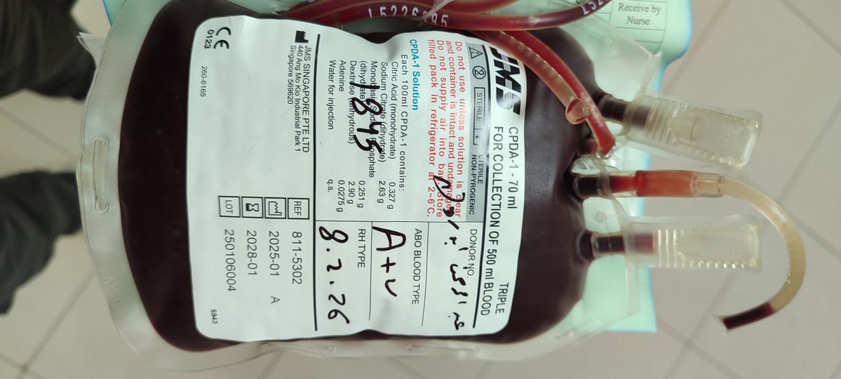 Bilal from gaza🇵🇸 tweet media