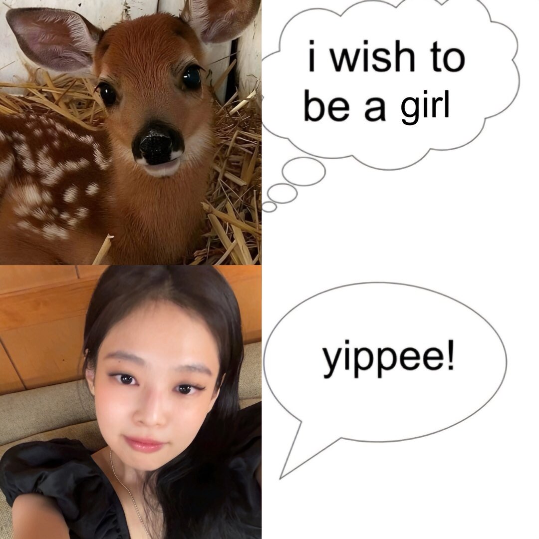 ‘🧛‍♀️ tweet media