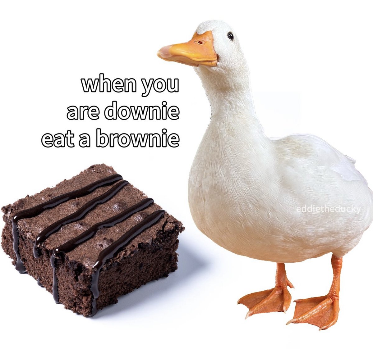 i like food tweet media