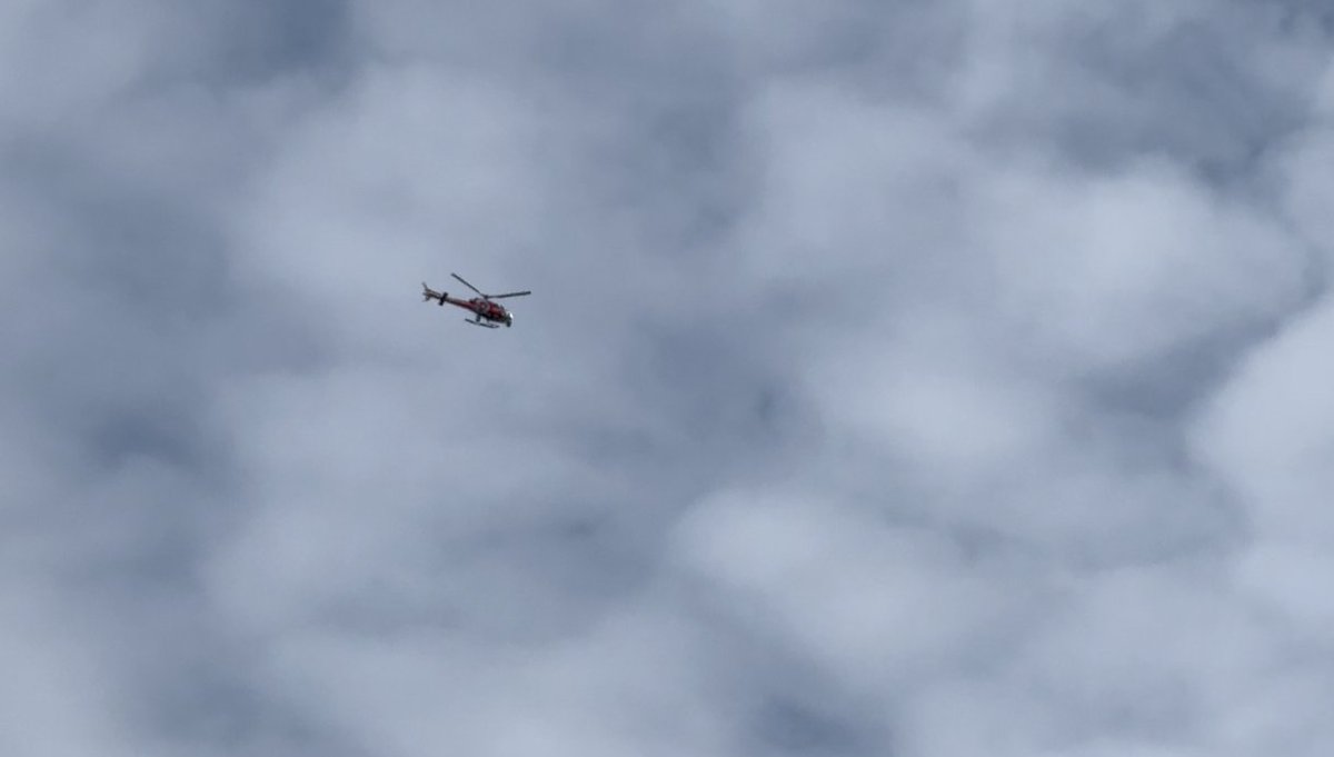 Tim Kelley tweet media