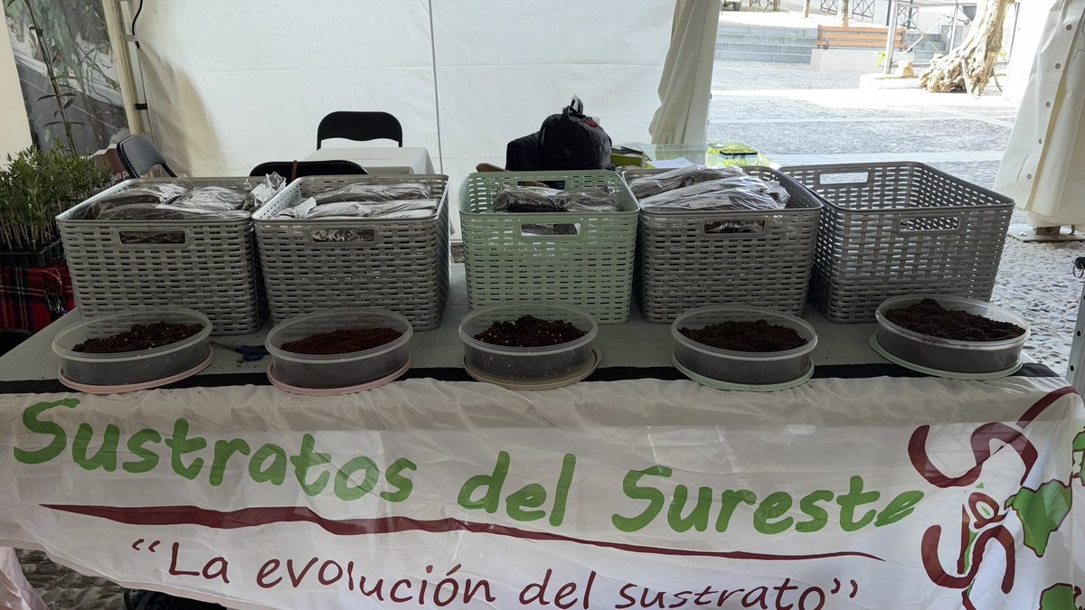 Javier Villegas tweet media