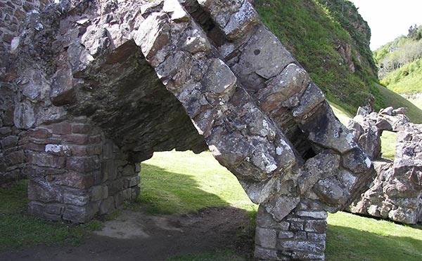 Michael Button tweet media