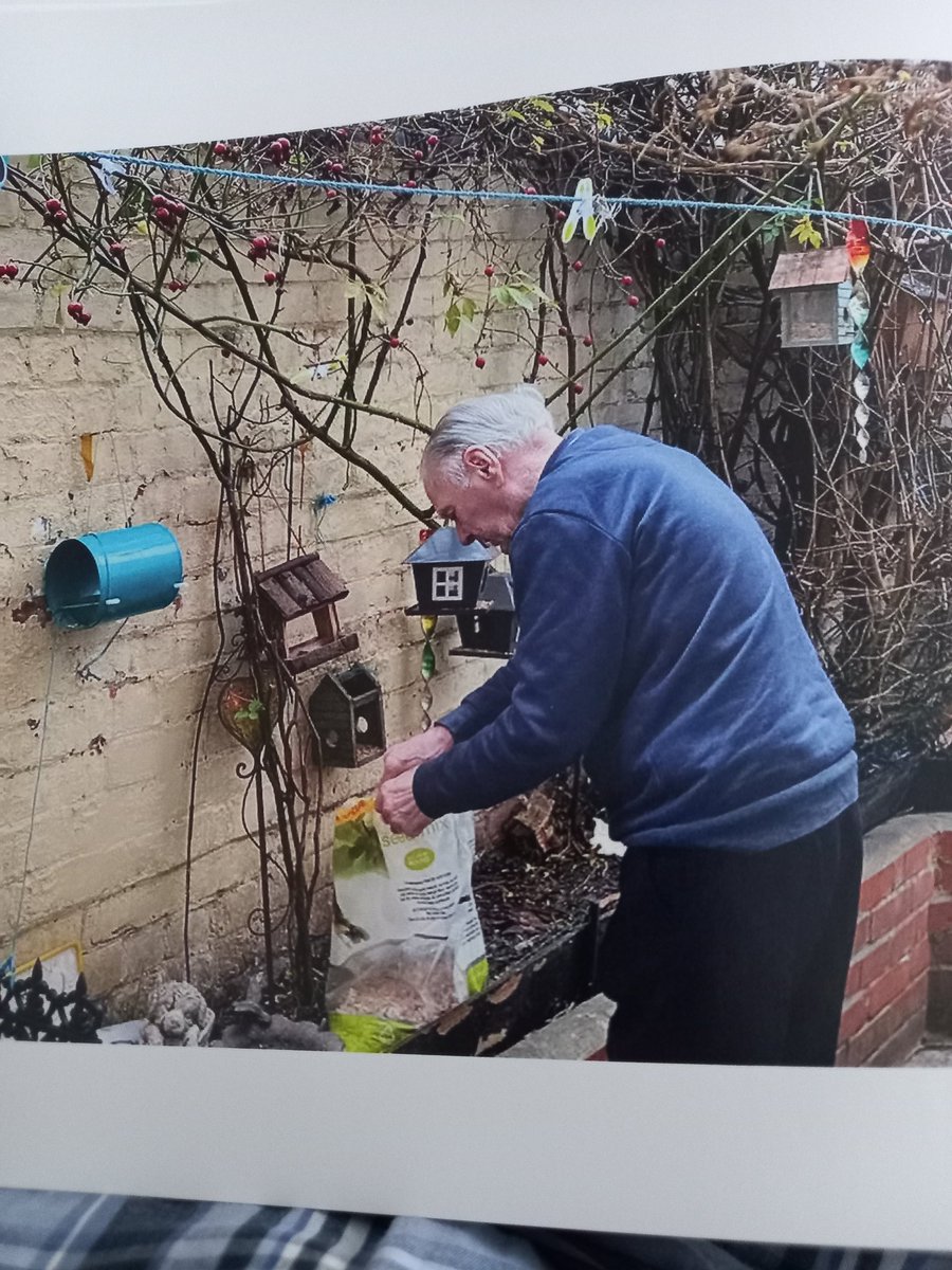 Mark Hayllar tweet media