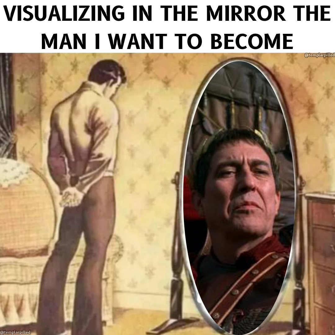 Templarpilled tweet media