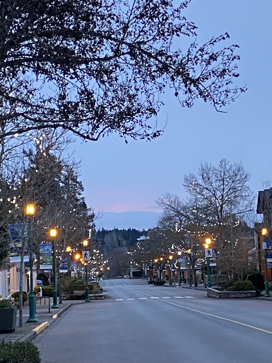 Lynn🇨🇦 tweet media