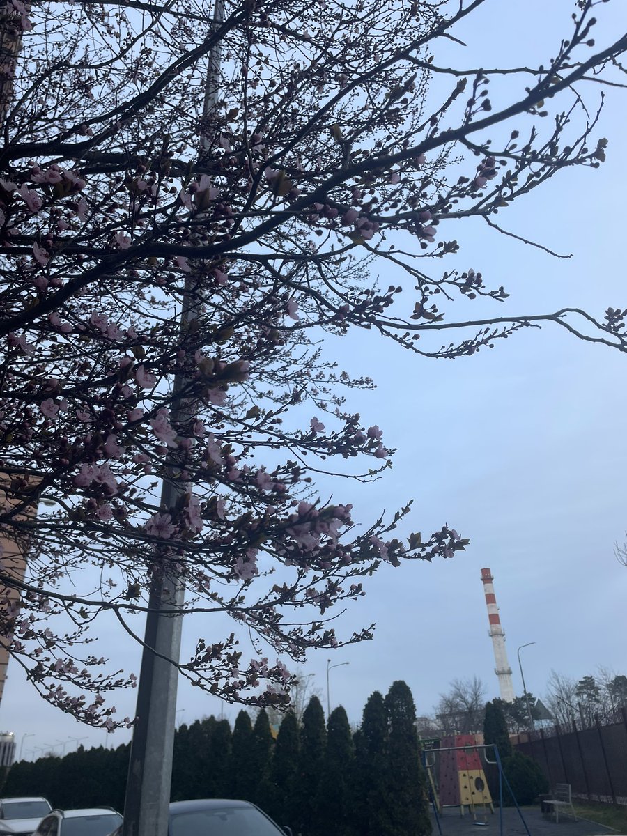 криперняшка tweet media