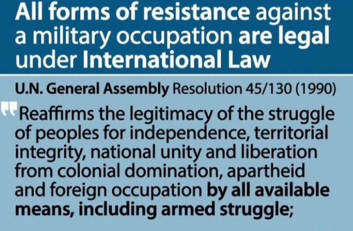 nick van de berg tweet media