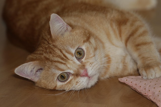 Brian Gray tweet media