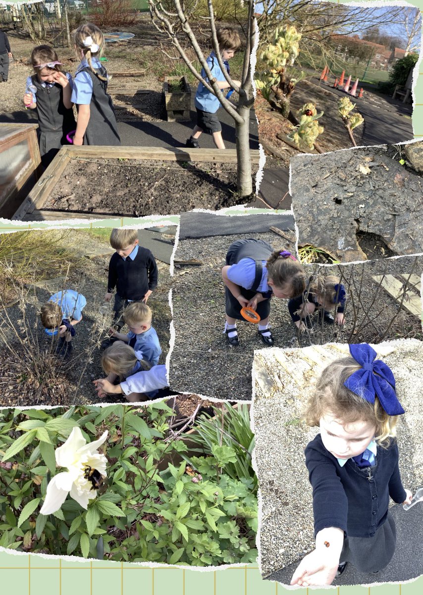 OSJ_Rec's tweet photo. We have been learning all about minibeasts. We went on a hunt and found lots of little creatures. It was so much fun! We talked about looking after all wild animals. https://t.co/XqekNmrCFM