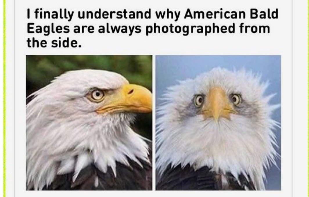 VeldLot🌷 tweet media