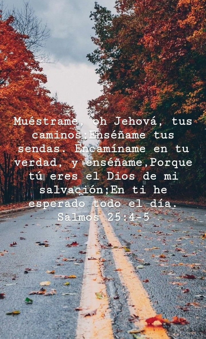 Doctor Frío tweet media