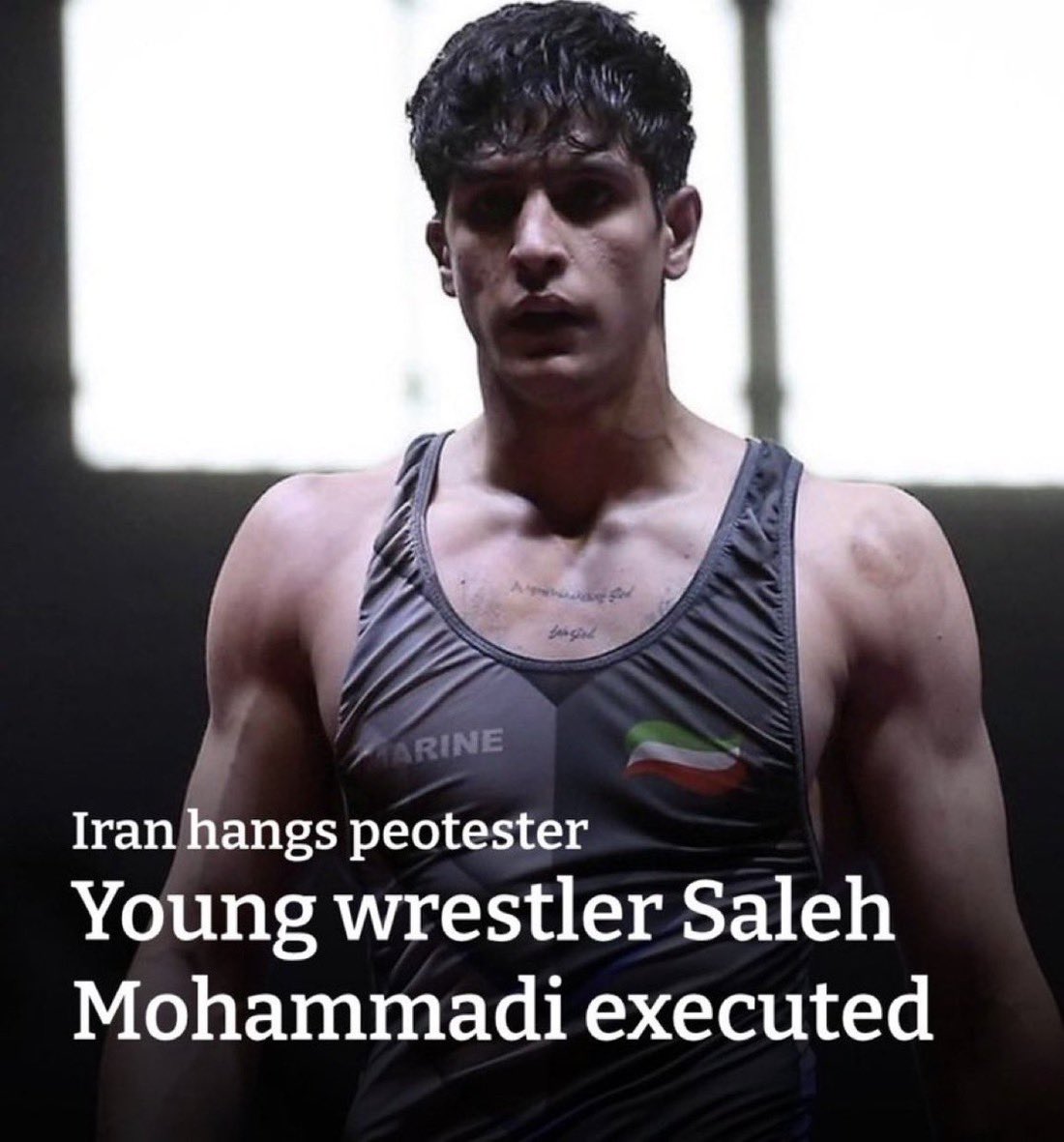 Sarah Fields tweet media