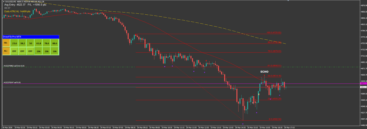 Florian 🇩🇪 tweet media