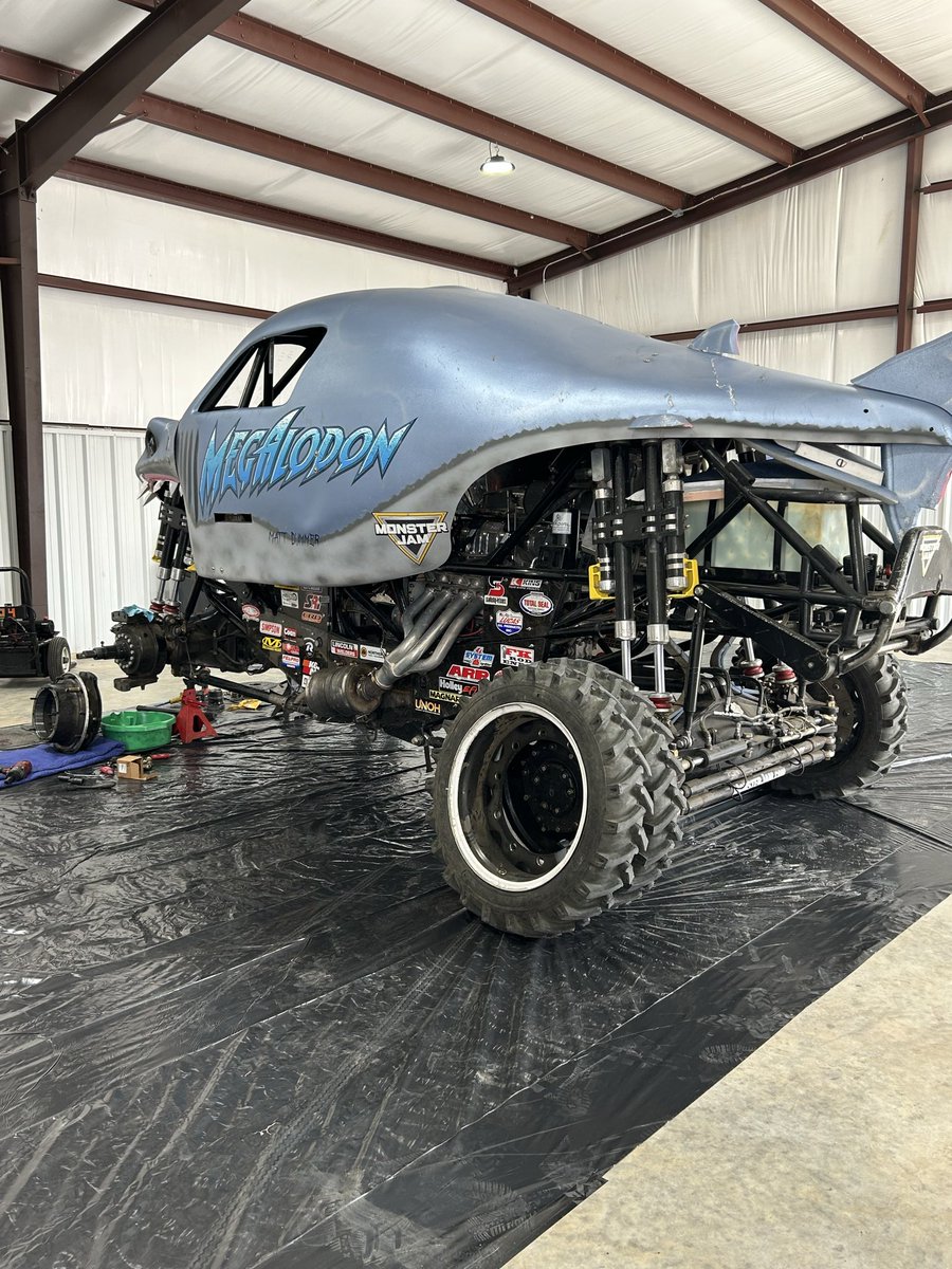 Desiree Wullich tweet media