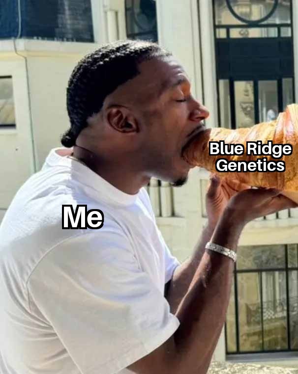 Blue Ridge Genetics tweet media