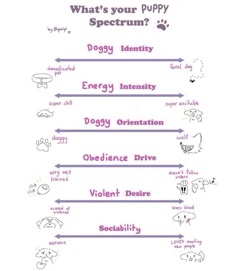 Miss Sinclair 🦴🧹 PARTNER PUSHING tweet media