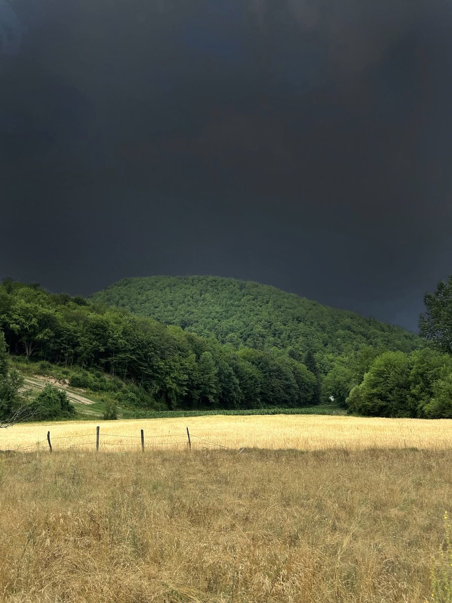 dreamland tweet media