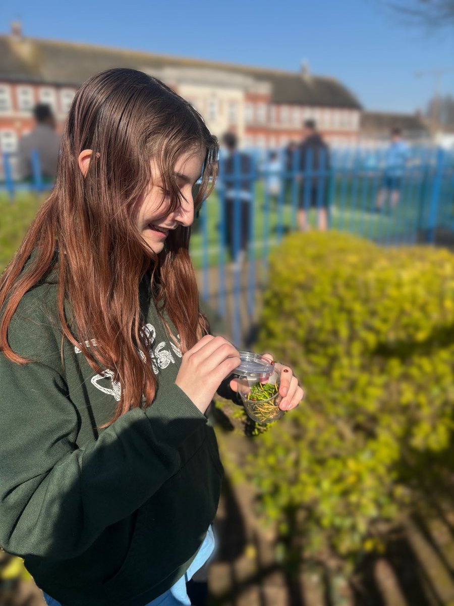 Sutton House Academy tweet media