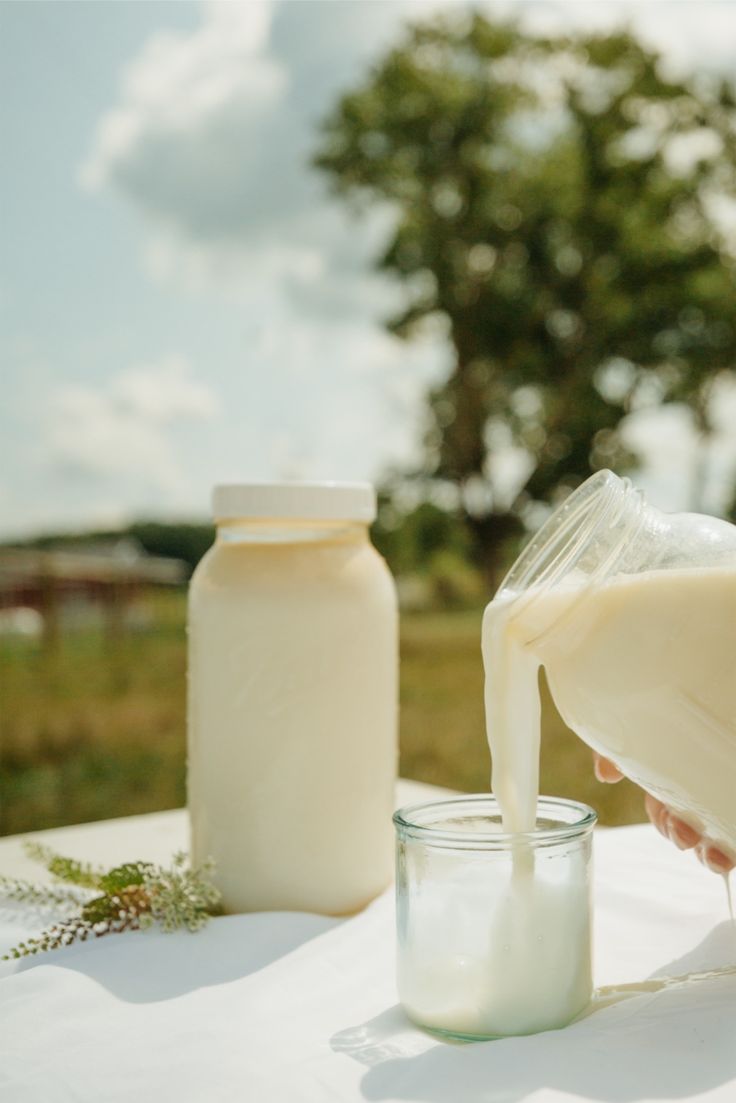 Leonardo S. tweet media