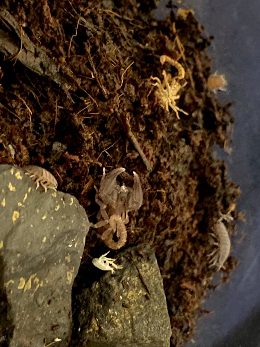 aisuke787☆ tweet media