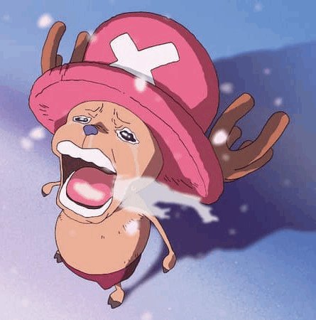 hansgrell tweet media