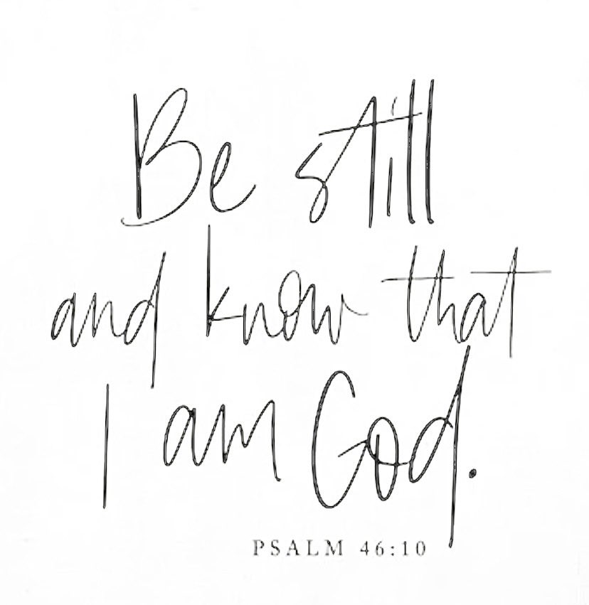 Sunny ☀️ tweet media