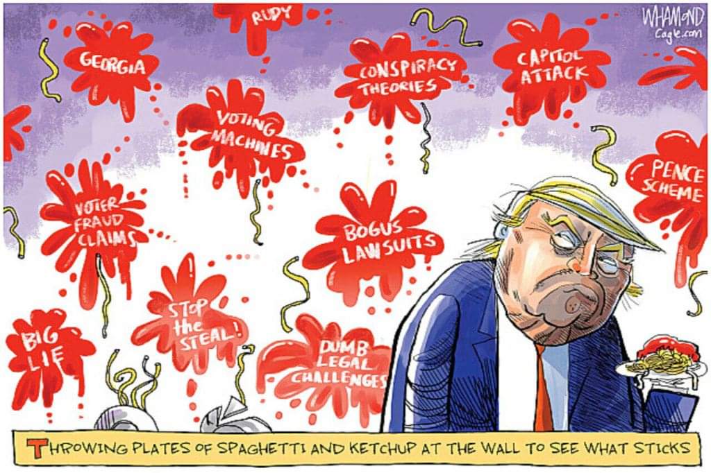 💙Blue birdy💙 tweet media