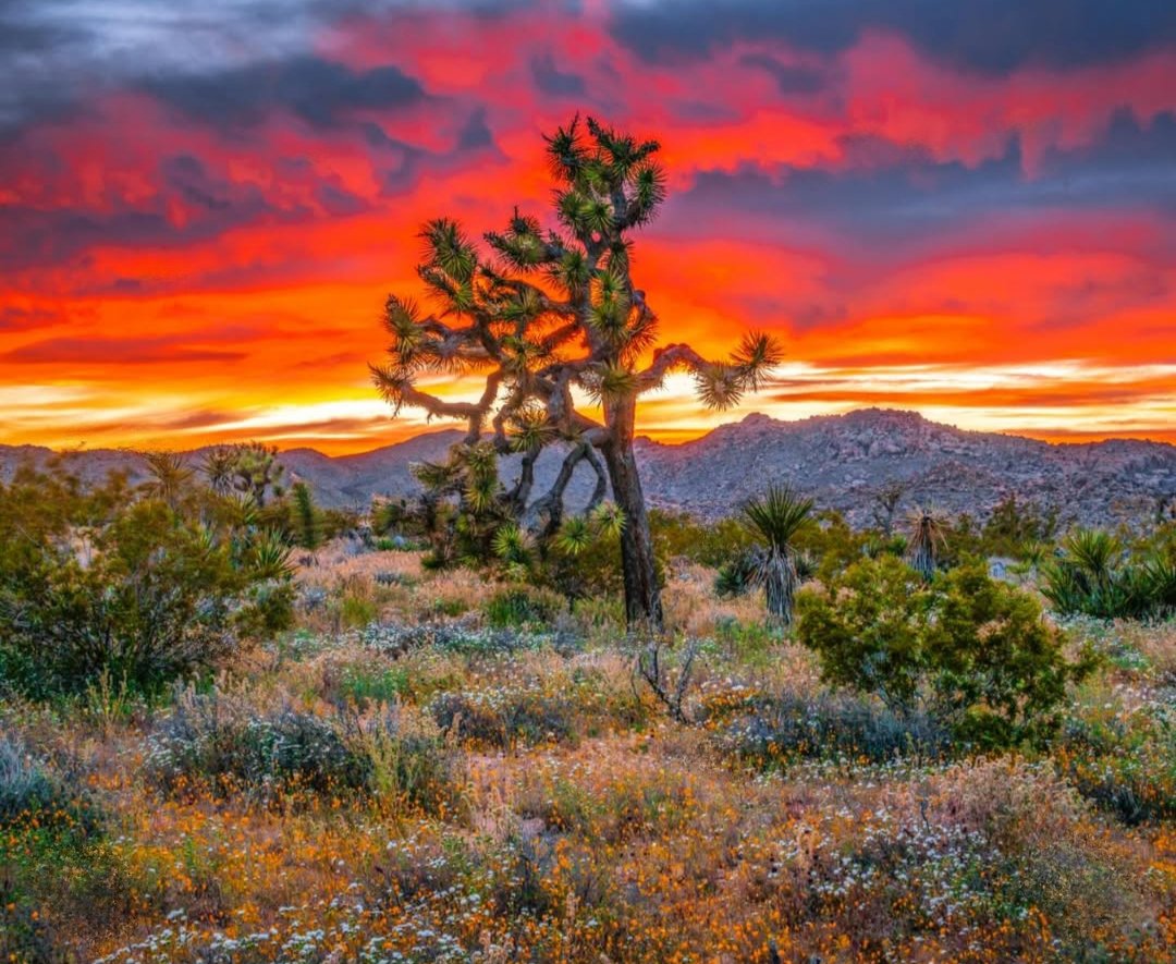 🕷️🕸️🃏Fabiana🃏🕸️🕷️ tweet media