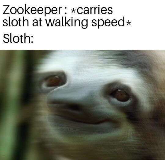 WholesomeMemes tweet media