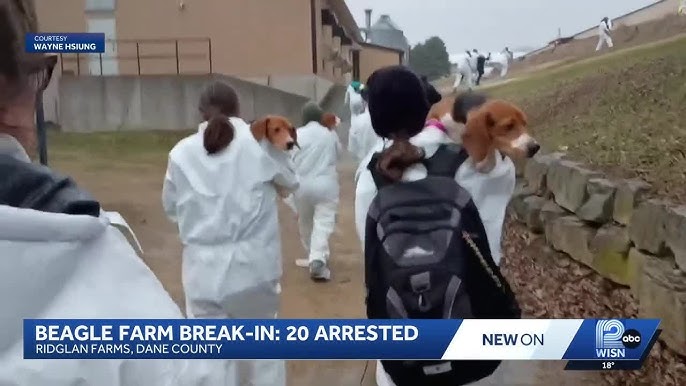 Jason Bassler tweet media