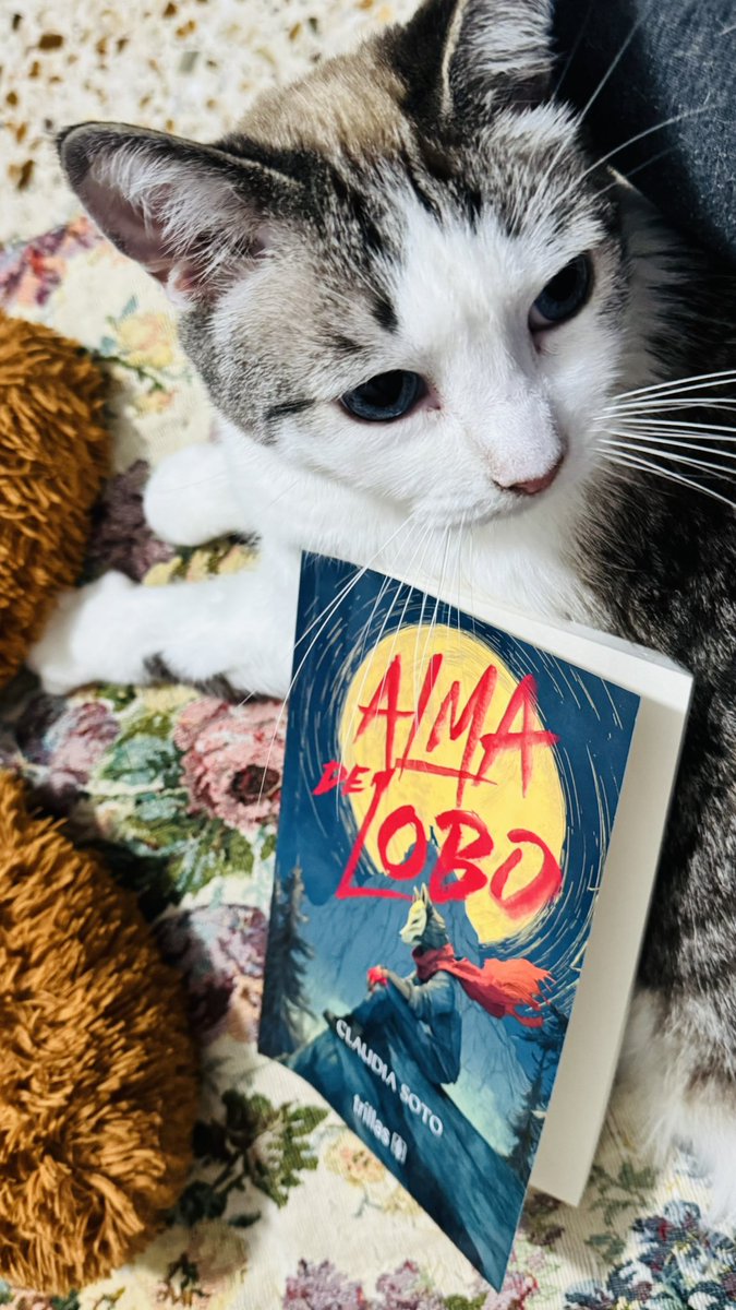 Patolina Patricia Correa tweet media