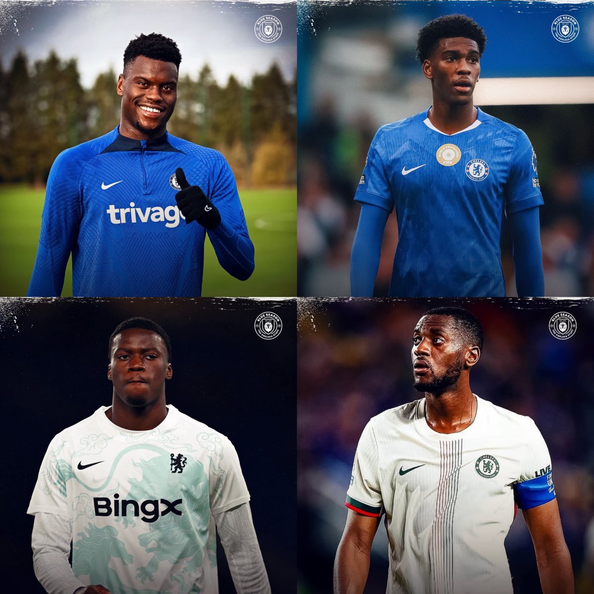 Blue Season Daily tweet media