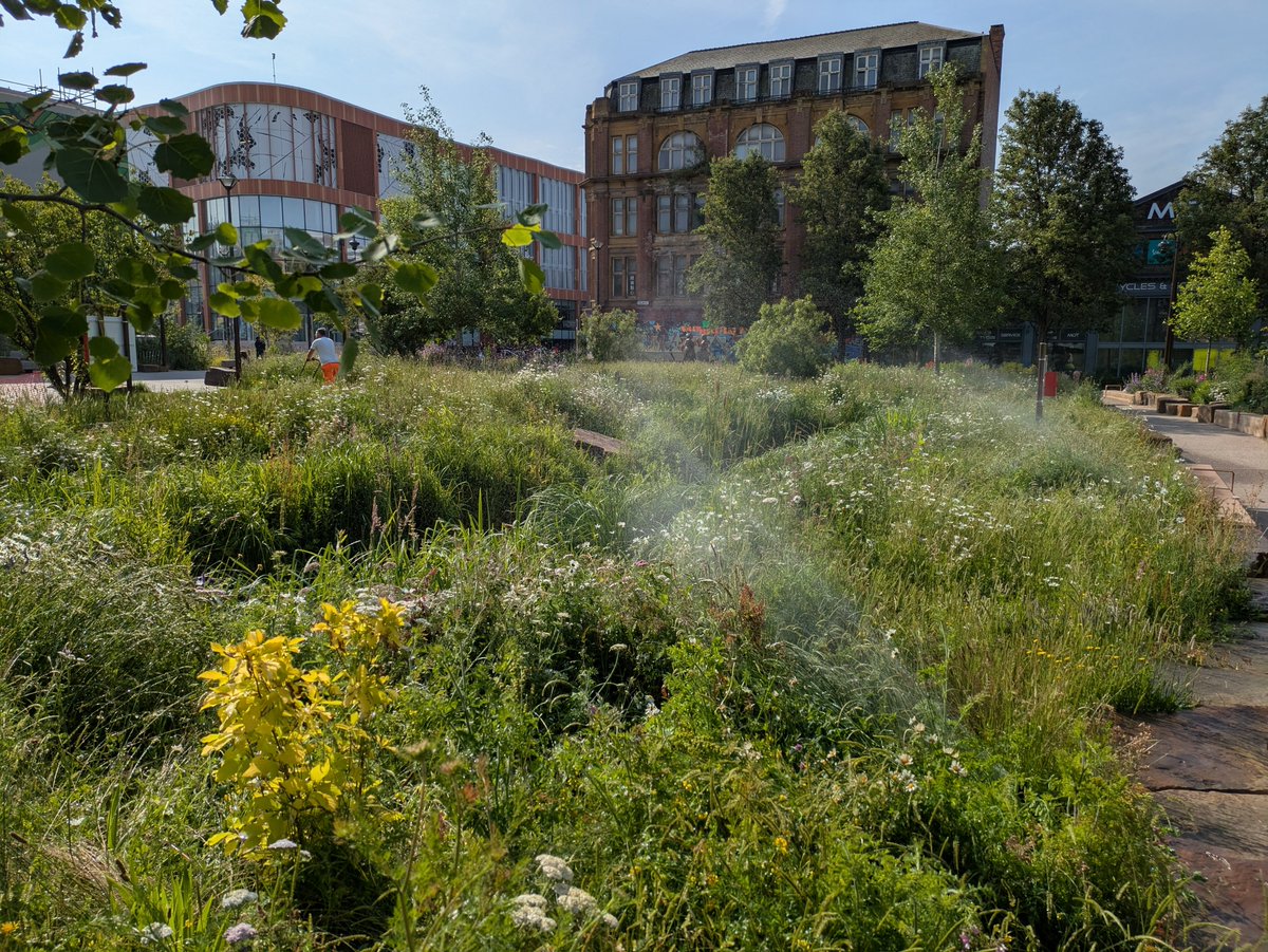 🏹 My Nottingham tweet media