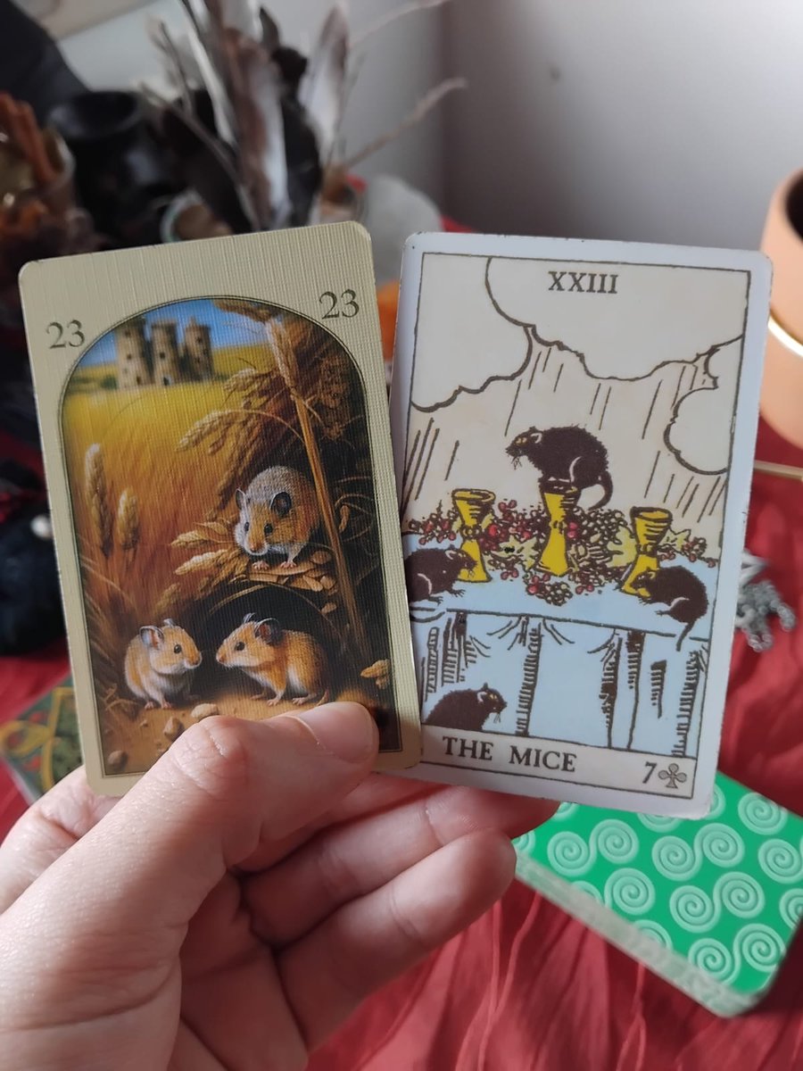 Cathy Cartomante⛧ ♤ • agenda aberta tweet media