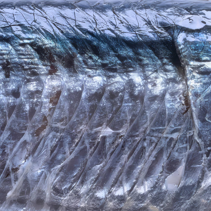 Brunetto / Bruno Garca tweet media