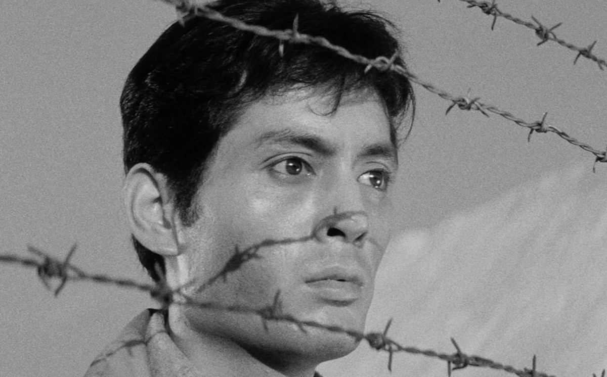 Nick Feldman tweet media