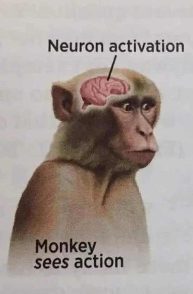 Coastal Elite tweet media