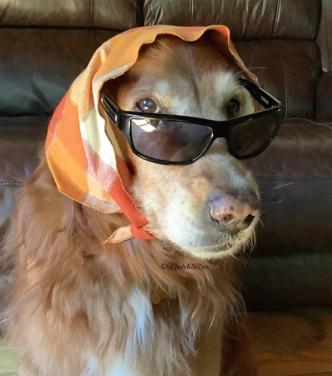 Kate🌈🧡💛 tweet media