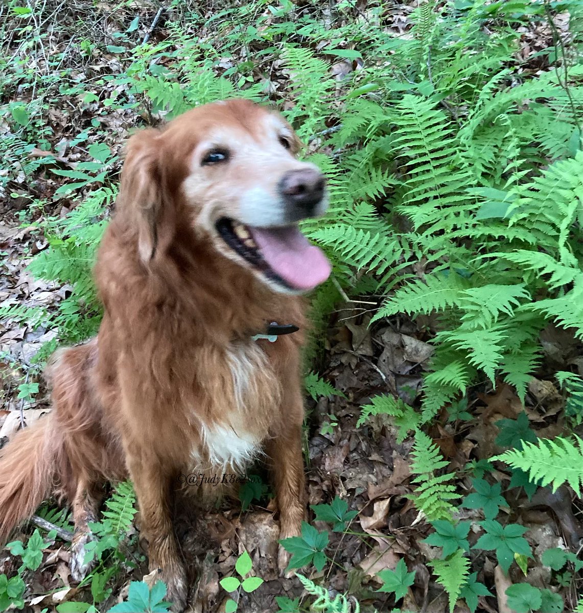 Kate🌈🧡💛 tweet media