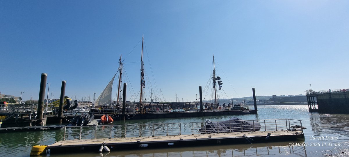 Gareth Evans Gammonologist ⚓️⚓️ tweet media