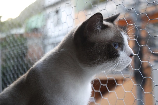 Amanda Jones tweet media