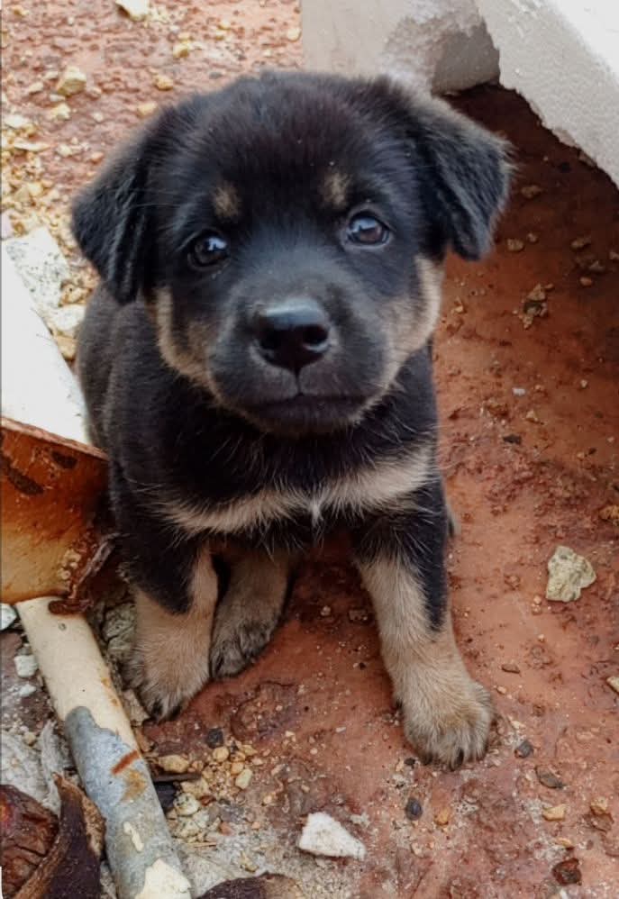 Elizabeth❣️ tweet media