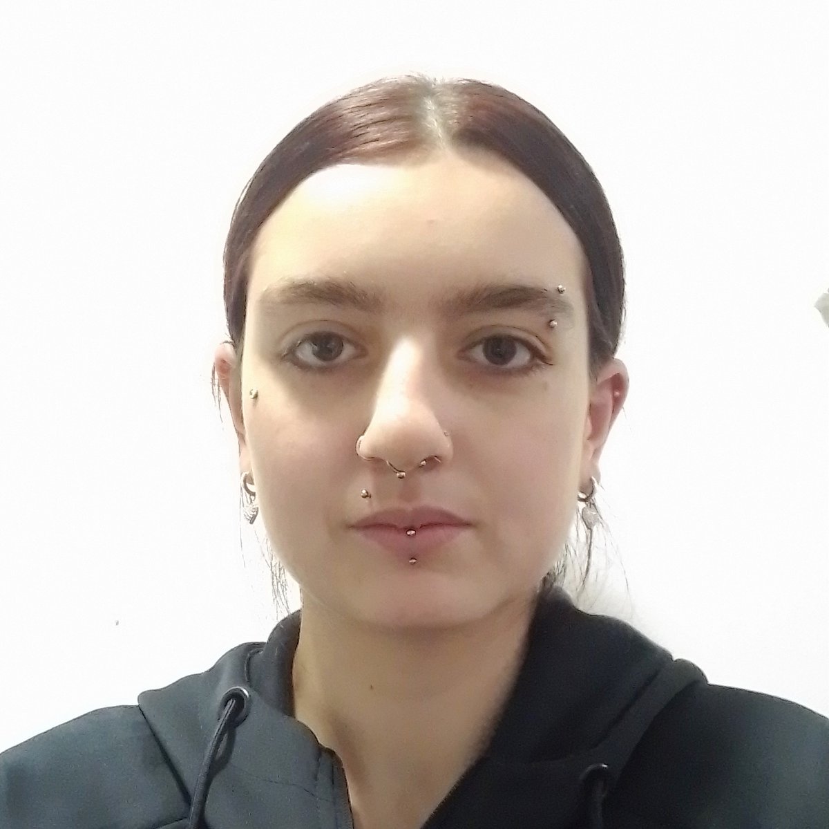 South Area - Croydon MPS tweet media