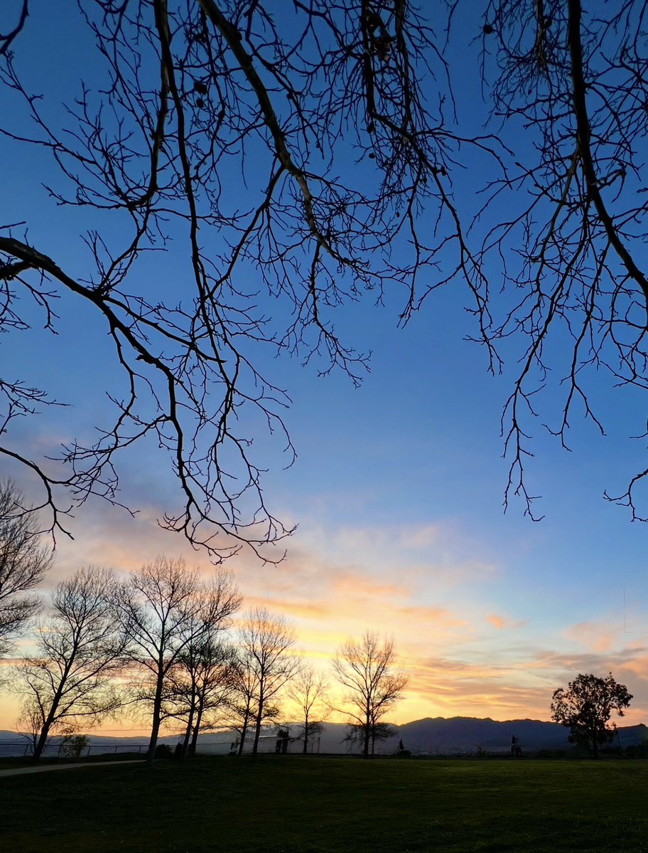 Mark In SoCal tweet media